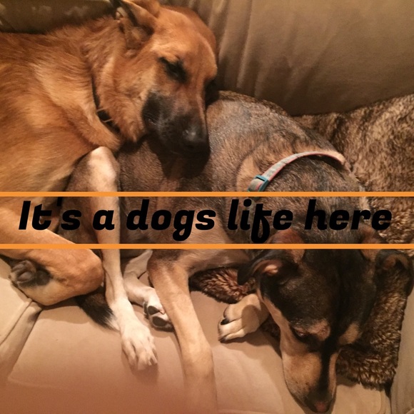 THANK YOU_ Rest in peace my love - Picture 9 of 12